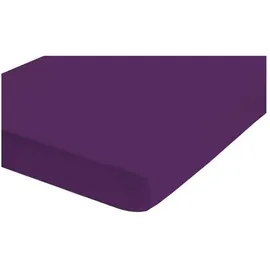 biberna 0077144 Feinjersey 180 x 200 - 200 x 200 cm dunkelviolett