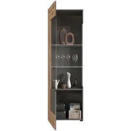 xonox.home Vitrine Freno 60 x 194 x 37 cm Grau