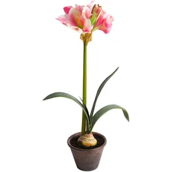 Botanic-Haus Kunstblume »Amaryllis im braunen Kunststofftopf« Botanic-Haus creme