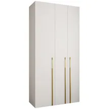 abiks möbel Drehtürenschrank COMO 120 x 245,5 x 50 cm Weiß/Gold