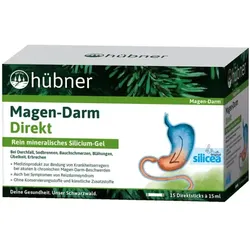 Hübner Magen-Darm Direkt Sticks (15St)