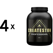 Peak Performance Createston Professional Cola Pulver 3150 g