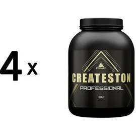Peak Performance Createston Professional Cola Pulver 3150 g