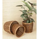 Guru-Shop Allzweckkorb Rattan Papierkorb, Übertopf, Korb in drei Größen braun 21 cm x 21 cm x 21 cm