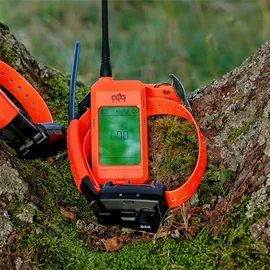 DOGTRACE X25 X25TB (control+collar +educative+beeper)