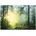 Sonne Wohnzimmer 300x210