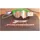 PROGRIP Tear-off Goggle Green System Universal
