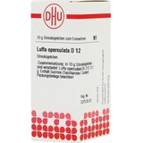 DHU-ARZNEIMITTEL LUFFA Operculata D12