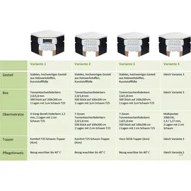 Prinz MANOLO 2 - braun