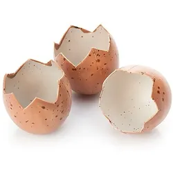 Eierschalen, 5 x 4 cm, 8 Stück