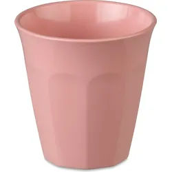 Nora Becher S Pastellrosa