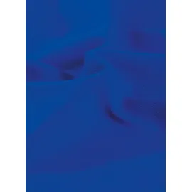 TRIGEMA T-Shirt TRIGEMA T-Shirt aus 100% Baumwolle (1-tlg) blau XS (42)