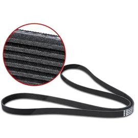 Continental CTAM Keilrippenriemen