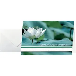 Sigel Trauer-Karten inkl. Umschläge weiß, Water Lily, Glanzkarton, 115x170 mm