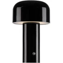 just light. AGNES Schwarz