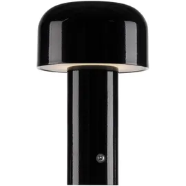 just light. AGNES Schwarz