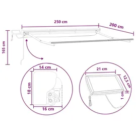 vidaXL Manueller Markisenrahmen mit LEDs Hellgrau und Weiß 2,5 x 2 m