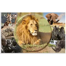 HERMA Schreibunterlage 55x35cm Afrika Tiere Packung mit 3 Stück