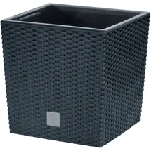 Prosperplast Rato Low 20 x 20 x 20,2 cm anthrazit