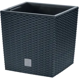 Prosperplast Rato Low 20 x 20 x 20,2 cm anthrazit