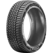 Radar Dimax Winter 195/50 R15 86H XL