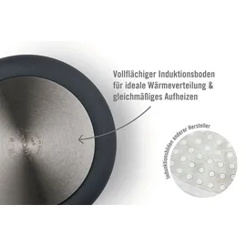 WOLL Eco Logic QXR Gusswok 30cm mit abnehmbarem Holzgriff (11030WLCI-Q)