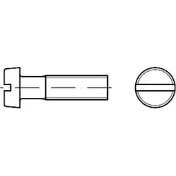 ISO 1207 Zylinderschraube mit Schlitz, Edelstahl A4 M6x60 KP