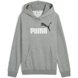 Puma Hoodie Grey 140