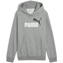 Puma Hoodie Grey 140