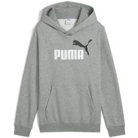 Puma Hoodie Grey 140