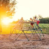 Lifetime Geodome Grün-Bronze mit Abdeckung 305 cm x 152 cm