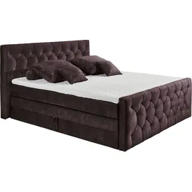 ed exciting design Cashfield 160 x 200 cm Aubergine