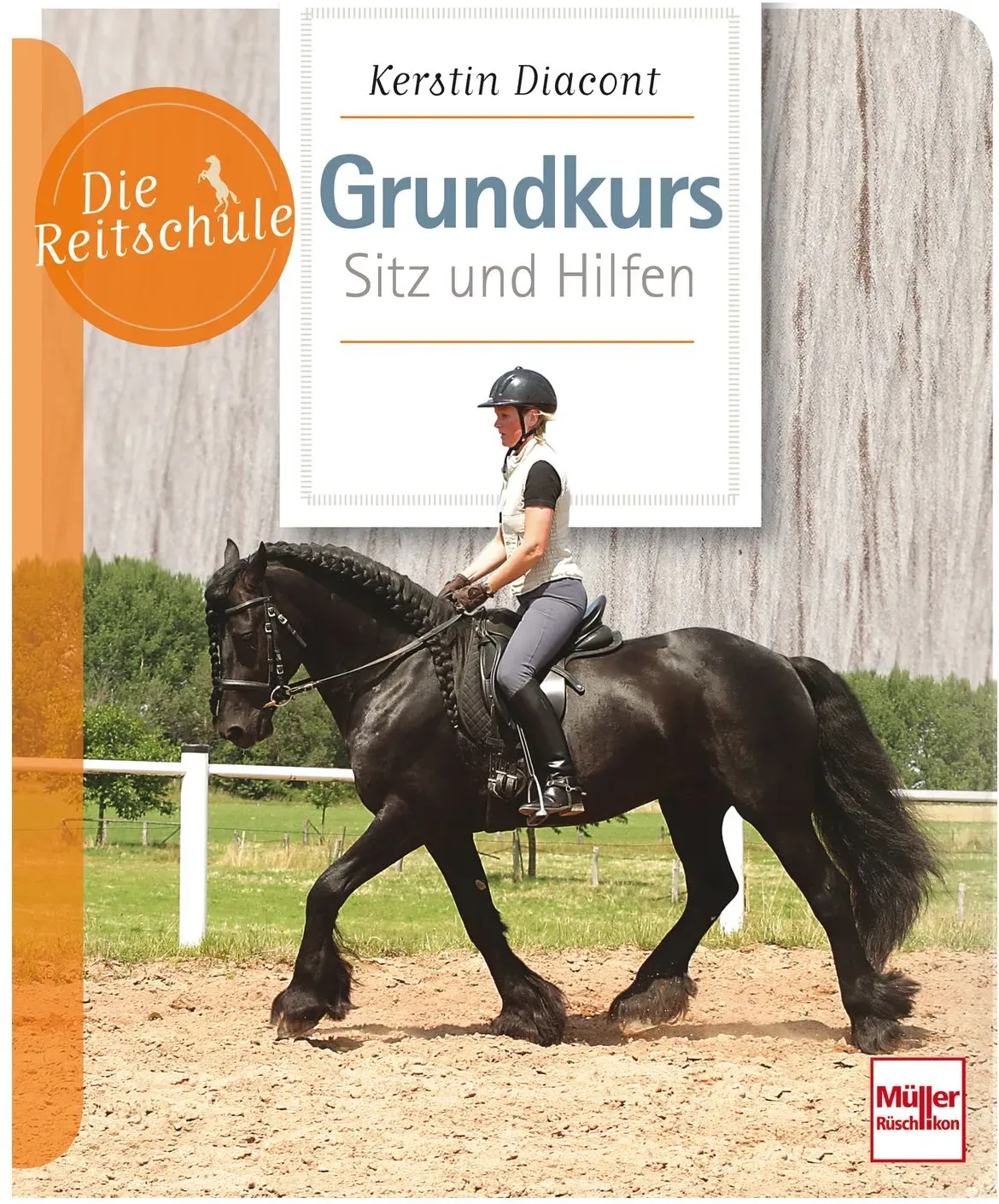 Grundkurs Sitz und Hilfen