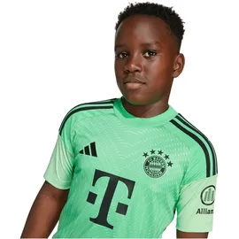 adidas FC Bayern München Torwarttrikot 2025/26 Kinder grün Gr. 176