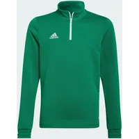 adidas Entrada 22 Trainingspullover Grün 164