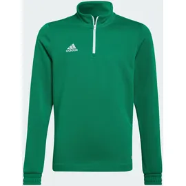 adidas Entrada 22 Trainingspullover Grün 164