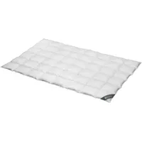 SPESSARTTRAUM Daunendecke Wildente medium 100% Daunen 155x220 cm
