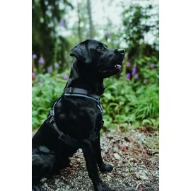 Hunter Maldon Up Hundegeschirr Petrol/Grau S-M