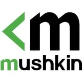 Mushkin Endora 500GB, M.2 2280 / M-Key / PCIe 4.0 x4 (MKNSSDED500GB-D8)