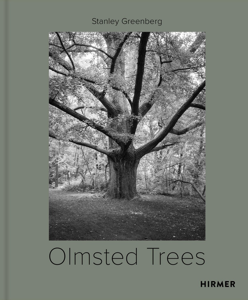 Olmsted Trees - Tom Avermaete  Kevin Baker  Mindy Thompson Fullilove  Gebunden