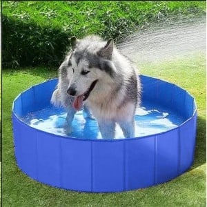Schwimmbad für den Hund 30cm hoch M 80 cm