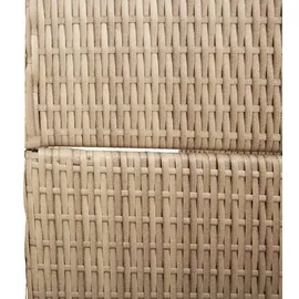 vidaXL Raumteiler Beige 196 x 200 cm Poly-rattan