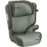 ABC-Design ABC Design Kindersitz Mallow 2 Fix i-Size – Mitwachsender Autositz für Kinder von ca. 3-12 Jahren (100-150 cm) mit Isofix, 3-Punkt-Gurtsystem Befestigung und integriertem Seitenaufprallschutz (sage)