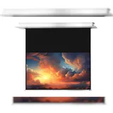 Celexon Deckeneinbauleinwand Motor Professional Plus 300 x 169 cm