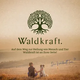 Erdling Astaxanthin-Drops Lutschbonbon vegan Erdling