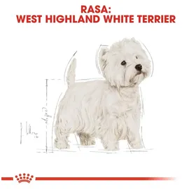 Royal Canin West Highland White Terrier 21 Adult 1,5 kg