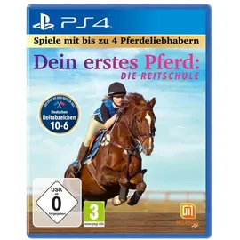 Dein erstes Pferd Die Reitschule