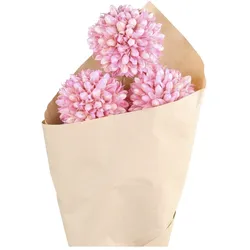 Chic Antique Fleur getrocknete Schneeball Blumen farbig, L60 cm, rosa