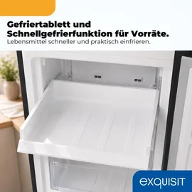 Exquisit KGC265-70-NF-WS-040C Kühl-Gefrierkombination (251 l, 1805 mm hoch, Inoxlook-az)