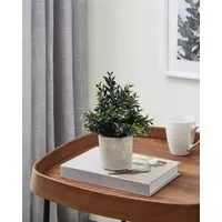 EGLO Kunstpflanze Buxbaum Chitose im Topf grün 23 x